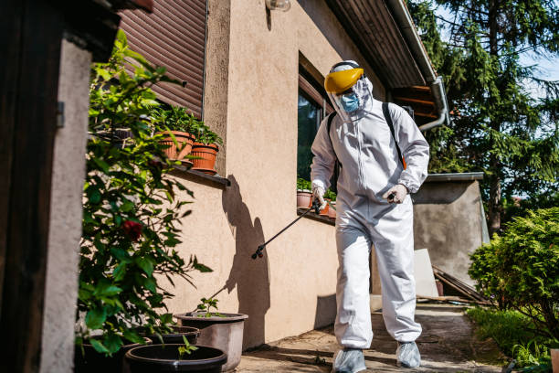 Best Flea Control Services  in Raton, NM