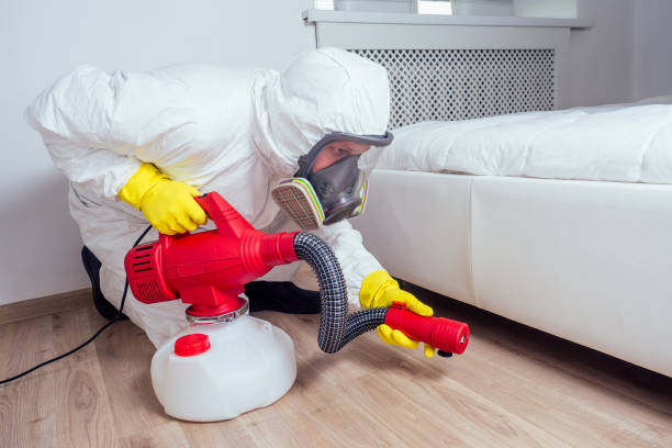 Pest Prevention Services in Raton, NM