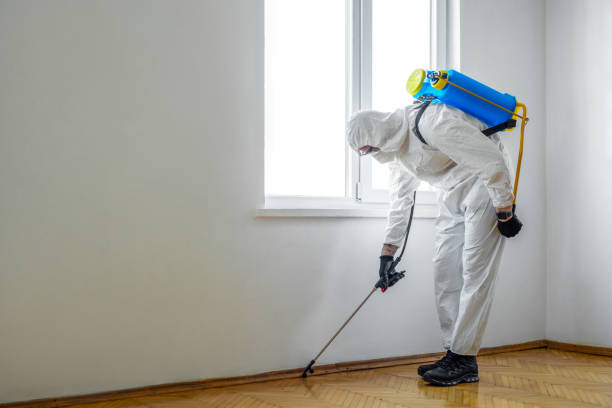 Pest Control for Restaurants in Raton, NM