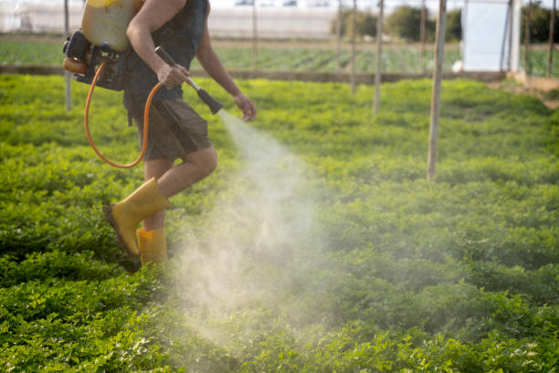 Best Residential Pest Control  in Raton, NM