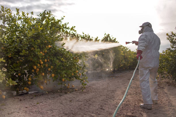 Best Local Pest Control Services  in Raton, NM