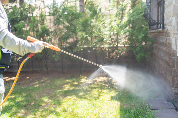 Best Exterminator Services  in Raton, NM