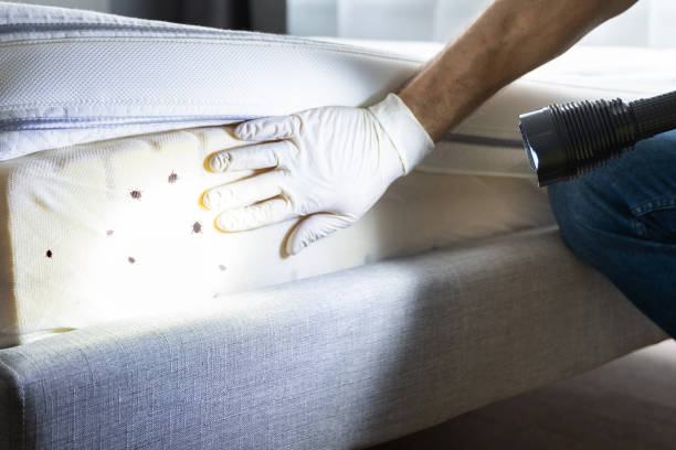 Best Commercial Pest Control Services  in Raton, NM