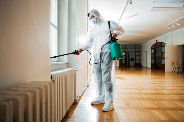 Best Wasp Removal Services  in Raton, NM