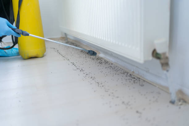 Best Cockroach Control Services  in Raton, NM